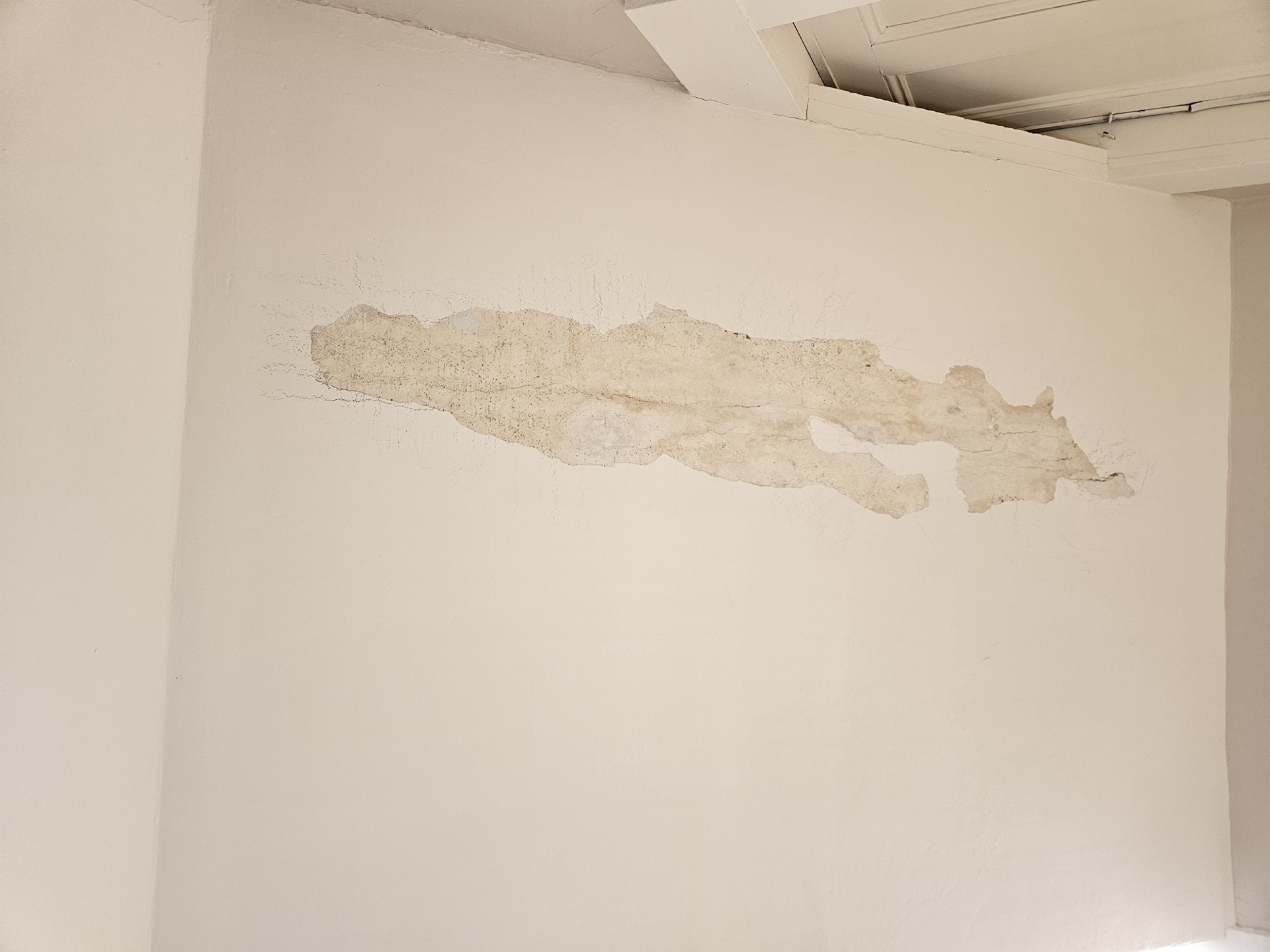 Wall and ceiling water damage assessment