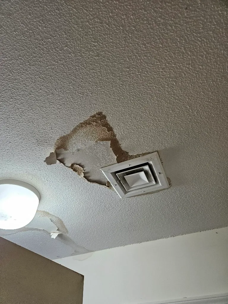 Ceiling before water damage repair