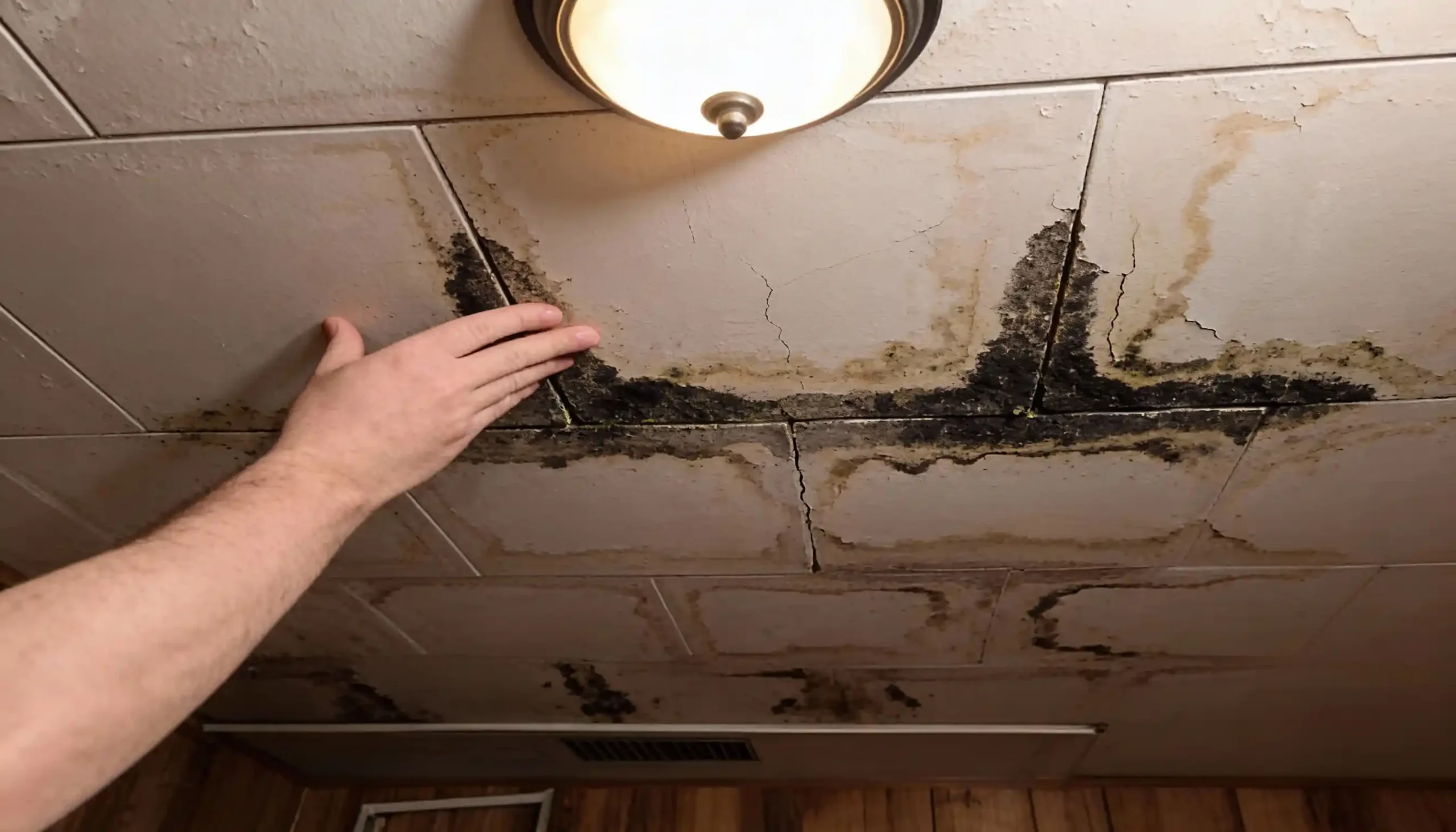 Water damage repair guide